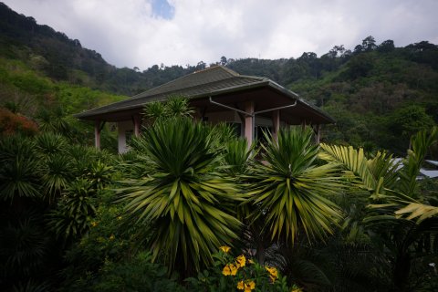 Вилла в Кату, Таиланд с 7 спальнями  № 159660 - фото 25