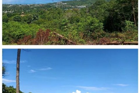 Земельный участок в Самуи, Таиланд № 115453 - фото 2