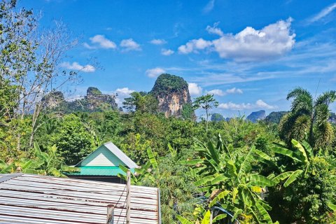 Studio à Krabi, Thaïlande № 161615 - photo 14