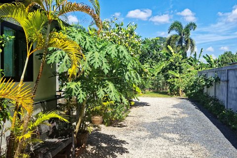 Studio à Krabi, Thaïlande № 161615 - photo 13