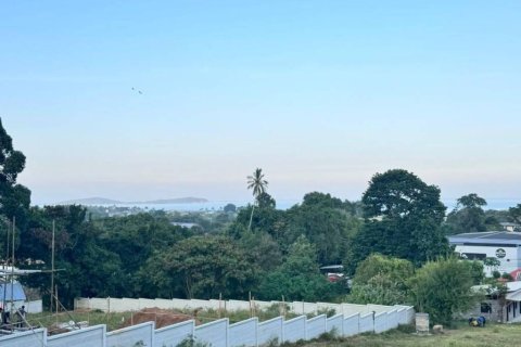 Земельный участок в Сураттхани, Таиланд  № 172807 - фото 2