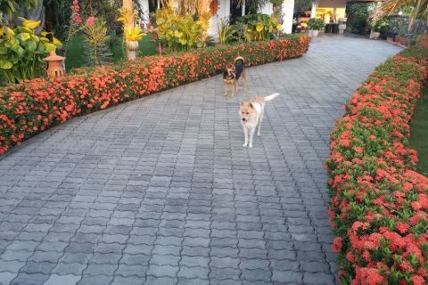 Вилла в Паттайе, Таиланд с 4 спальнями  № 138733 - фото 9