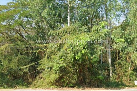 Land in Lampang, Thailand 9600 sq.m. № 169085 - photo 8