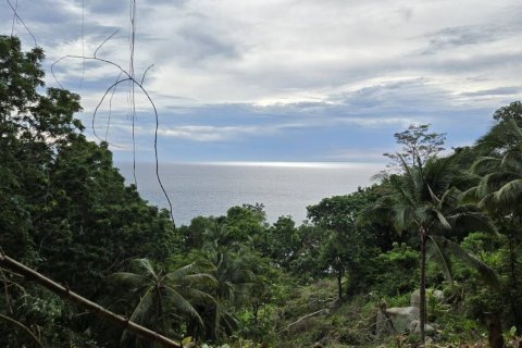 Земельный участок в Пхукете, Таиланд 16000м2 № 135627 - фото 2