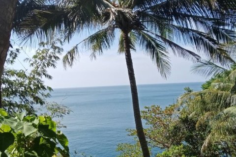 Земельный участок в Пхукете, Таиланд 16000м2 № 135627 - фото 4