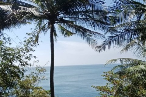 Земельный участок в Пхукете, Таиланд 16000м2 № 135627 - фото 3