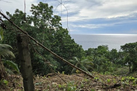 Земельный участок в Пхукете, Таиланд 16000м2 № 135627 - фото 1