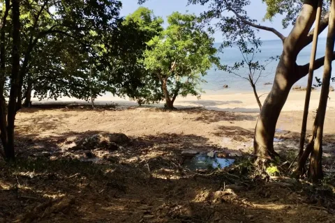 Земельный участок в Нуеа Кхлонге, Таиланд 10076м2  № 170599 - фото 4