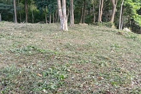 Земельный участок в Нуеа Кхлонге, Таиланд 10076м2  № 170599 - фото 11