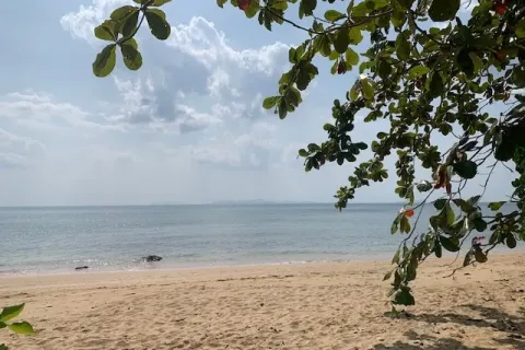 Земельный участок в Нуеа Кхлонге, Таиланд 10076м2  № 170599 - фото 6