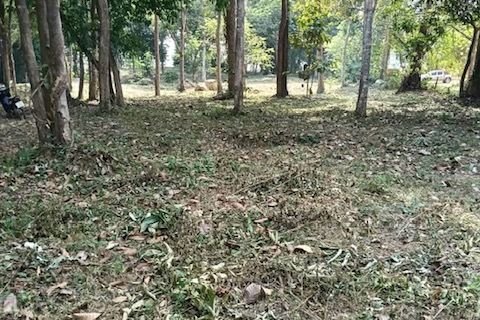 Земельный участок в Нуеа Кхлонге, Таиланд 10076м2  № 170599 - фото 9