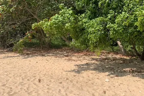 Земельный участок в Нуеа Кхлонге, Таиланд 10076м2  № 170599 - фото 7