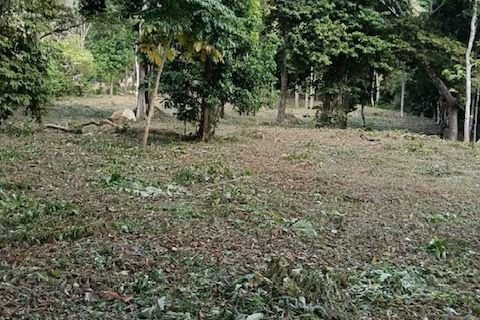 Земельный участок в Нуеа Кхлонге, Таиланд 10076м2  № 170599 - фото 12