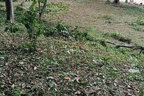 Земельный участок в Нуеа Кхлонге, Таиланд 10076м2  № 170599 - фото 10