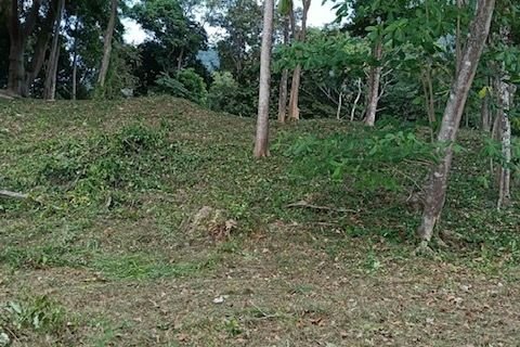 Земельный участок в Нуеа Кхлонге, Таиланд 10076м2  № 170599 - фото 8