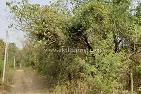 Land in Lampang, Thailand 1612 sq.m. № 155166 - photo 6