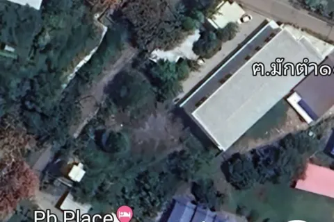 Terrain à Phayao, Thaïlande 1568 m2 № 163558 - photo 2