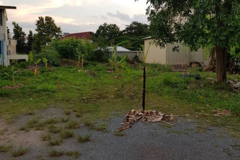 Terrain à Phayao, Thaïlande 1568 m2 № 163558 - photo 5