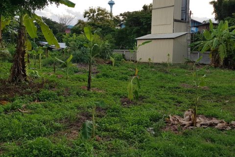 Terrain à Phayao, Thaïlande 1568 m2 № 163558 - photo 4