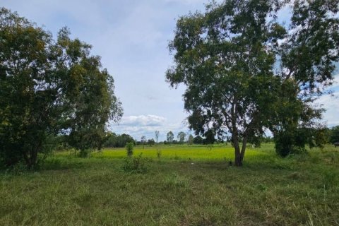 Land in Maha Sarakham, Thailand 7616 sq.m. № 173367 - photo 7