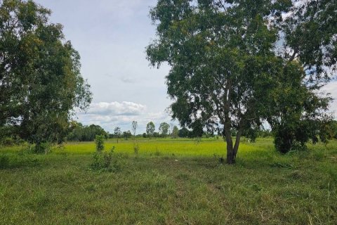 Land in Maha Sarakham, Thailand 7616 sq.m. № 173367 - photo 5