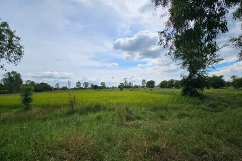 Land in Maha Sarakham, Thailand 7616 sq.m. № 173367 - photo 3