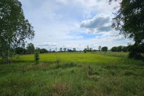 Land in Maha Sarakham, Thailand 7616 sq.m. № 173367 - photo 2