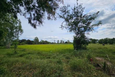 Land in Maha Sarakham, Thailand 7616 sq.m. № 173367 - photo 4