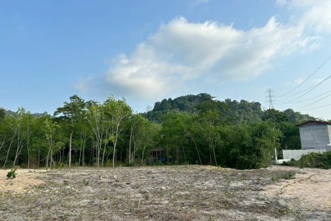 Land in Phuket, Thailand 4000 sq.m. № 173366 - photo 3