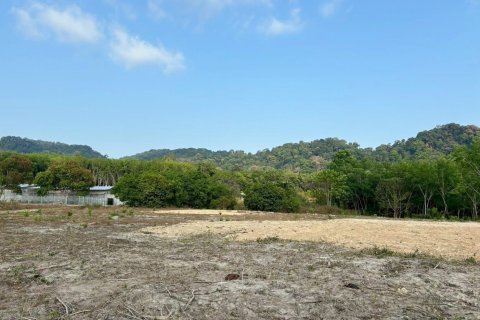 Land in Phuket, Thailand 4000 sq.m. № 173366 - photo 2