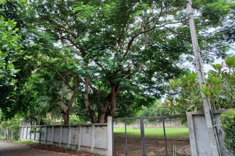 Земельный участок в Чиангмае, Таиланд 1024м2  № 136495 - фото 7