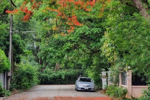 Земельный участок в Чиангмае, Таиланд 1024м2  № 136495 - фото 8