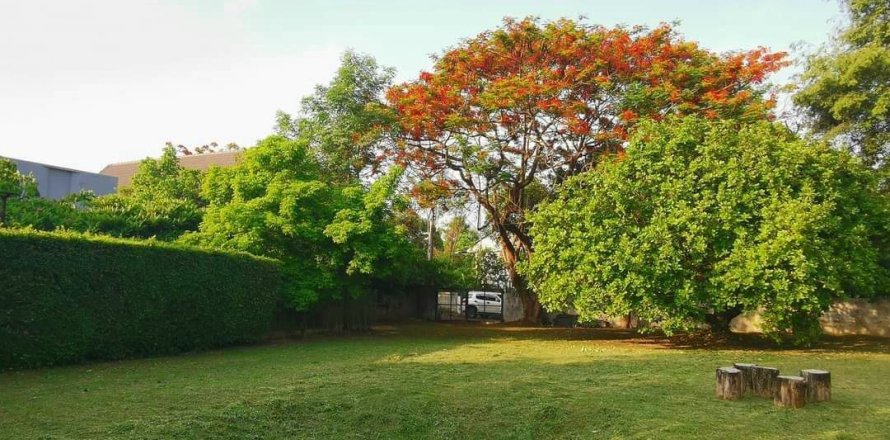 Земельный участок в Чиангмае, Таиланд 1024м2  № 136495