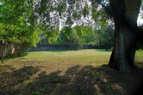 Земельный участок в Чиангмае, Таиланд 1024м2  № 136495 - фото 4