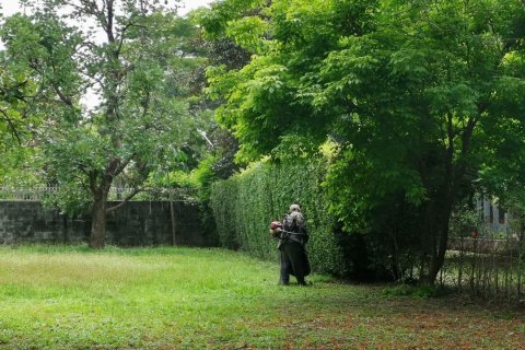 Земельный участок в Чиангмае, Таиланд 1024м2  № 136495 - фото 5