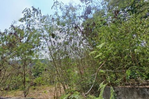 Земельный участок в Пхукете, Таиланд 3118.8м2  № 149483 - фото 5