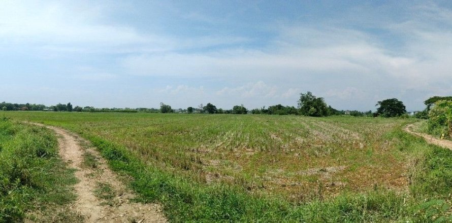 Земельный участок в Сан Кампаенге, Таиланд 20916м2  № 171083