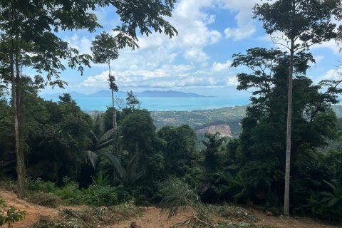 Вилла в Самуи, Таиланд с 5 спальнями  № 136066 - фото 2