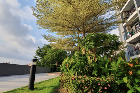 Studio dans le Condo à Huai Khwang, Bangkok, Thaïlande  № 135615 - photo 5