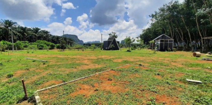 Land in Krabi, Thailand 1917.6 sq.m. № 193898