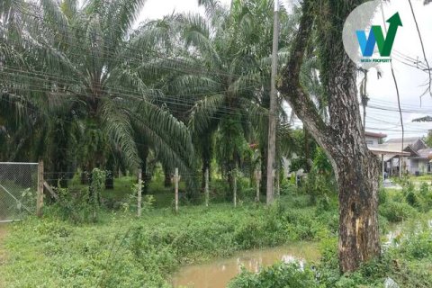 Land in Phatthalung, Thailand 10.55 sq.m. № 156987 - photo 6