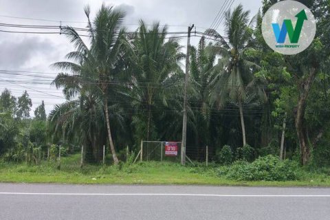 Land in Phatthalung, Thailand 10.55 sq.m. № 156987 - photo 2