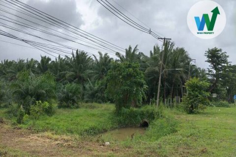 Land in Phatthalung, Thailand 10.55 sq.m. № 156987 - photo 3