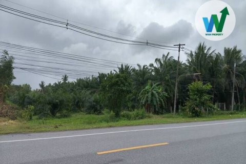 Land in Phatthalung, Thailand 10.55 sq.m. № 156987 - photo 7