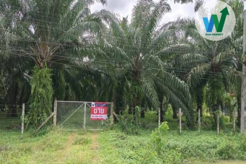 Land in Phatthalung, Thailand 10.55 sq.m. № 156987