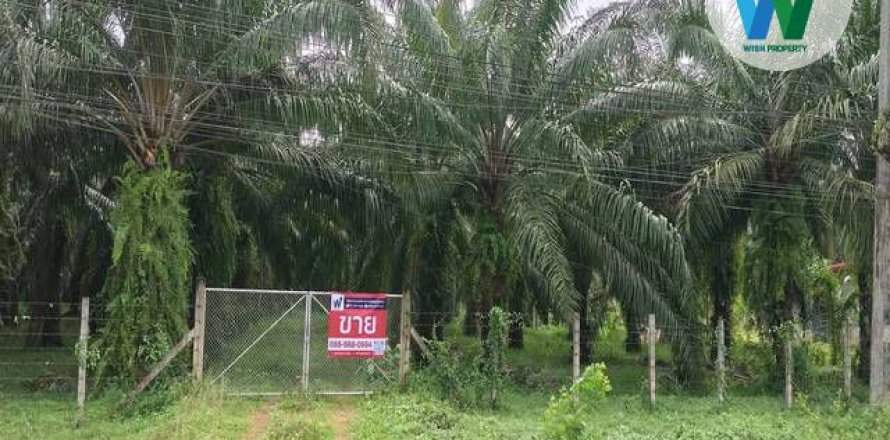 Land in Phatthalung, Thailand 10.55 sq.m. № 156987