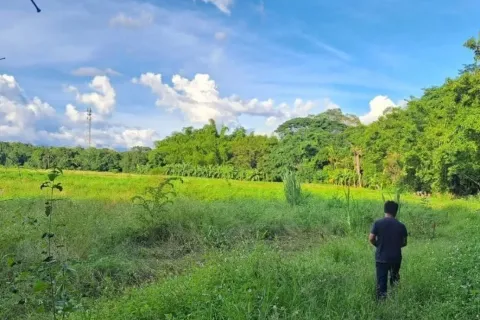 Земельный участок в Чиангмае, Таиланд 1892м2 № 156989 - фото 9