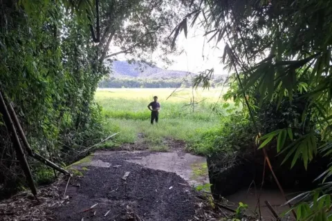 Земельный участок в Чиангмае, Таиланд 1892м2 № 156989 - фото 11