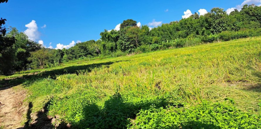 Земельный участок в Чиангмае, Таиланд 1892м2 № 156989