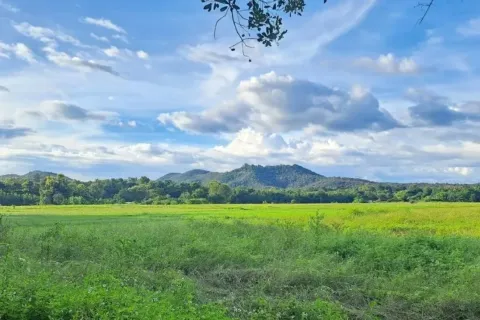 Земельный участок в Чиангмае, Таиланд 1892м2 № 156989 - фото 7